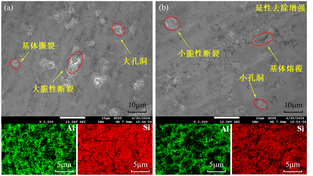 image-20251224103707982